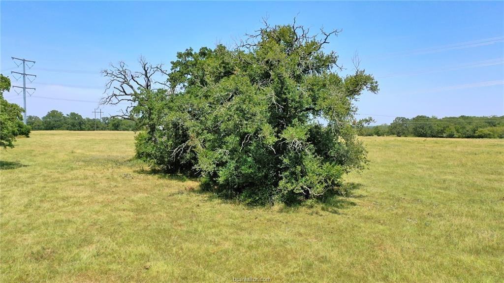 8464 Preservation Way, North Zulch, Texas image 2