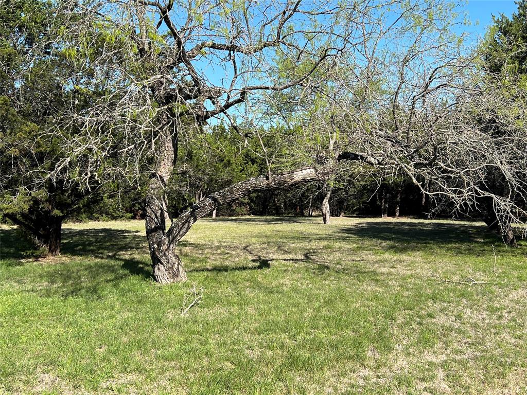 23091 Westmeadow Drive, Whitney, Texas image 2