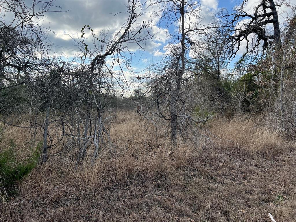 TBD Iron Bridge Road, Burton, Texas image 8