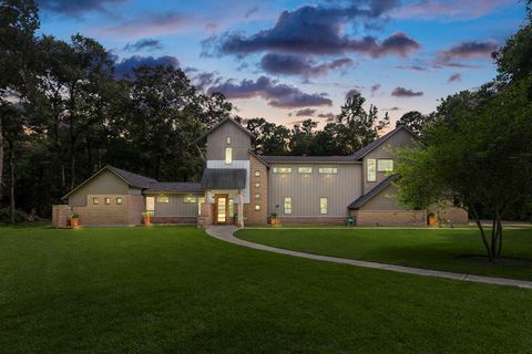 Single Family Residence in Conroe TX 10941 Lake Forest Drive.jpg
