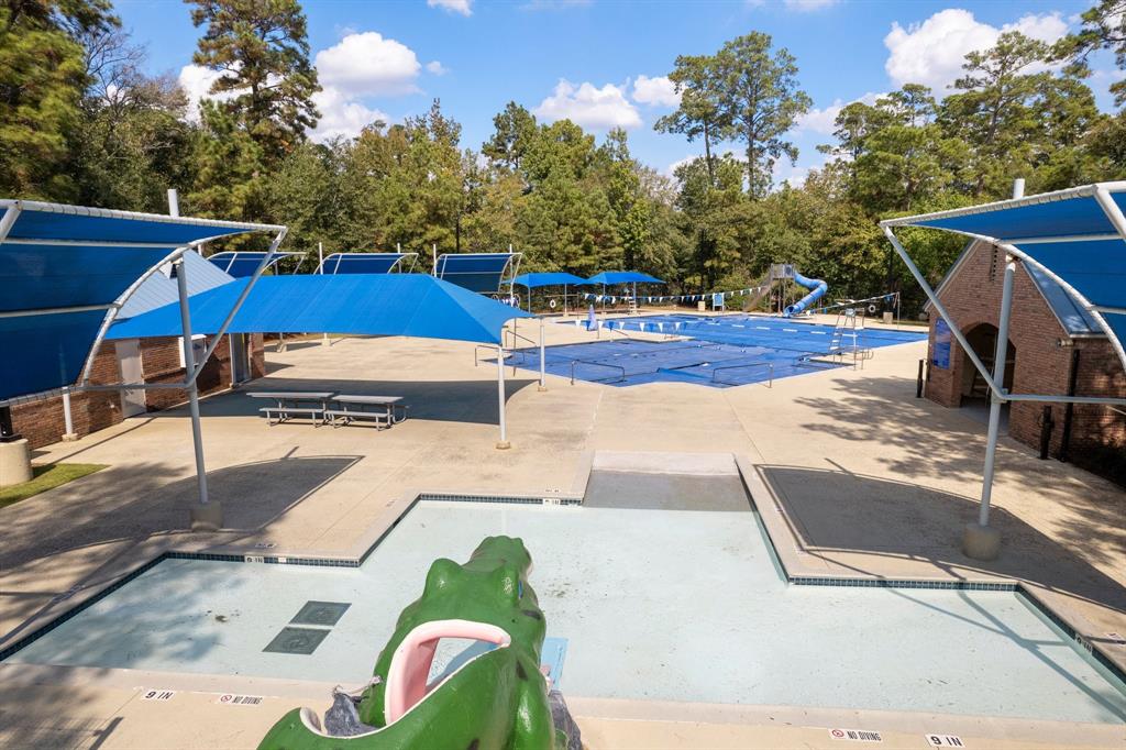 99 N Downy Willow Circle, The Woodlands, Texas image 23