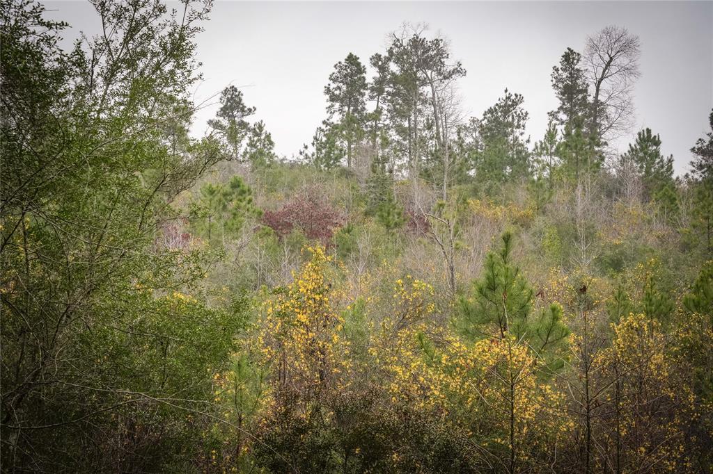 00 County Road 2052, Newton, Texas image 4