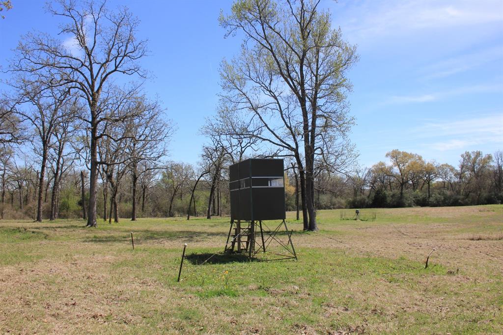 15010 NW Sh 21 West, Crockett, Texas image 43