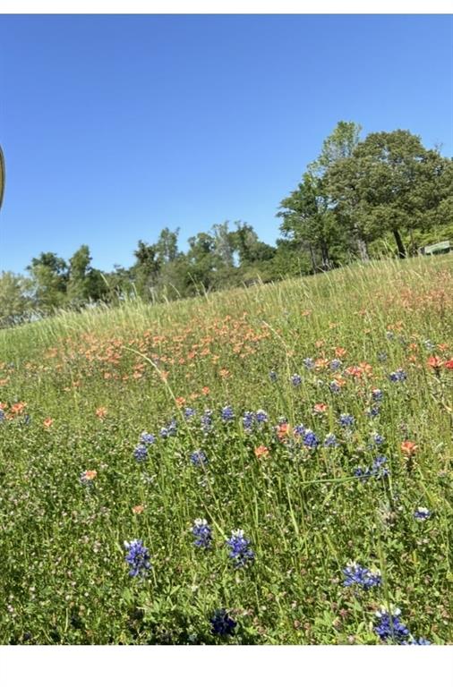 15010 NW Sh 21 West, Crockett, Texas image 45