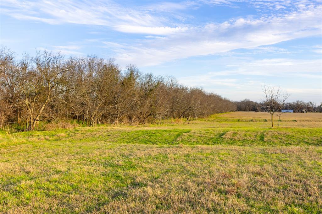 3622 N Fm 486, Thorndale, Texas image 44