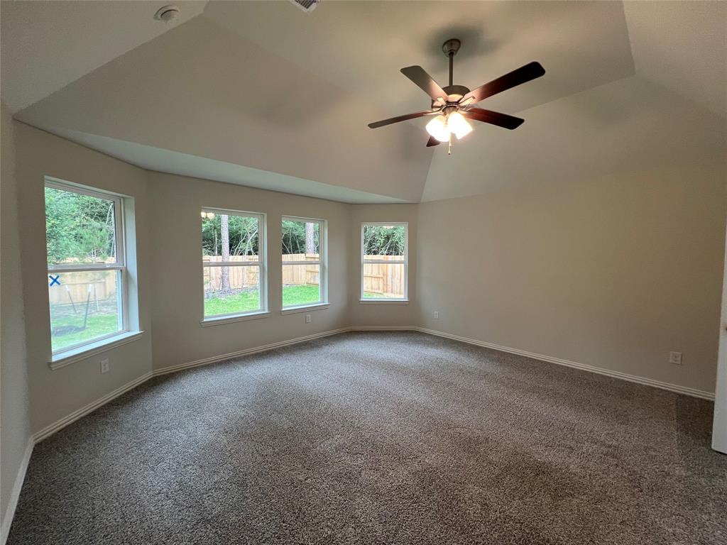 314 Branta Court, Willis, Texas image 8