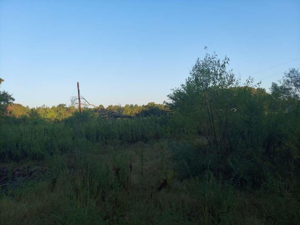 2018 County Road 4009, New Boston, Texas image 2