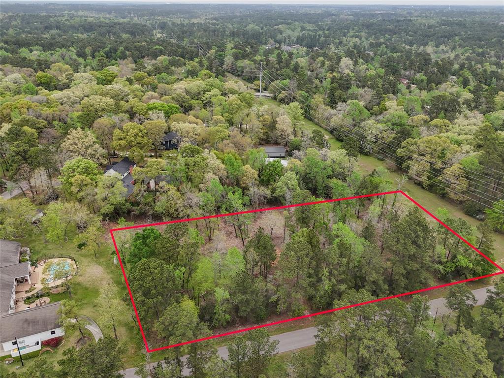 10048 Pine Springs Drive, Conroe, Texas image 7