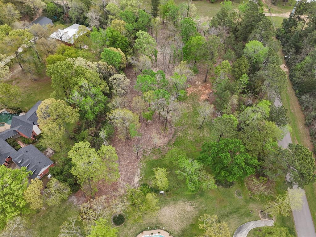 10048 Pine Springs Drive, Conroe, Texas image 8