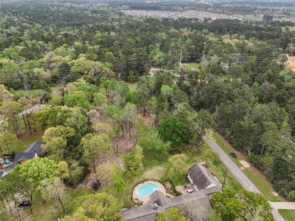 10048 Pine Springs Drive, Conroe, Texas image 9