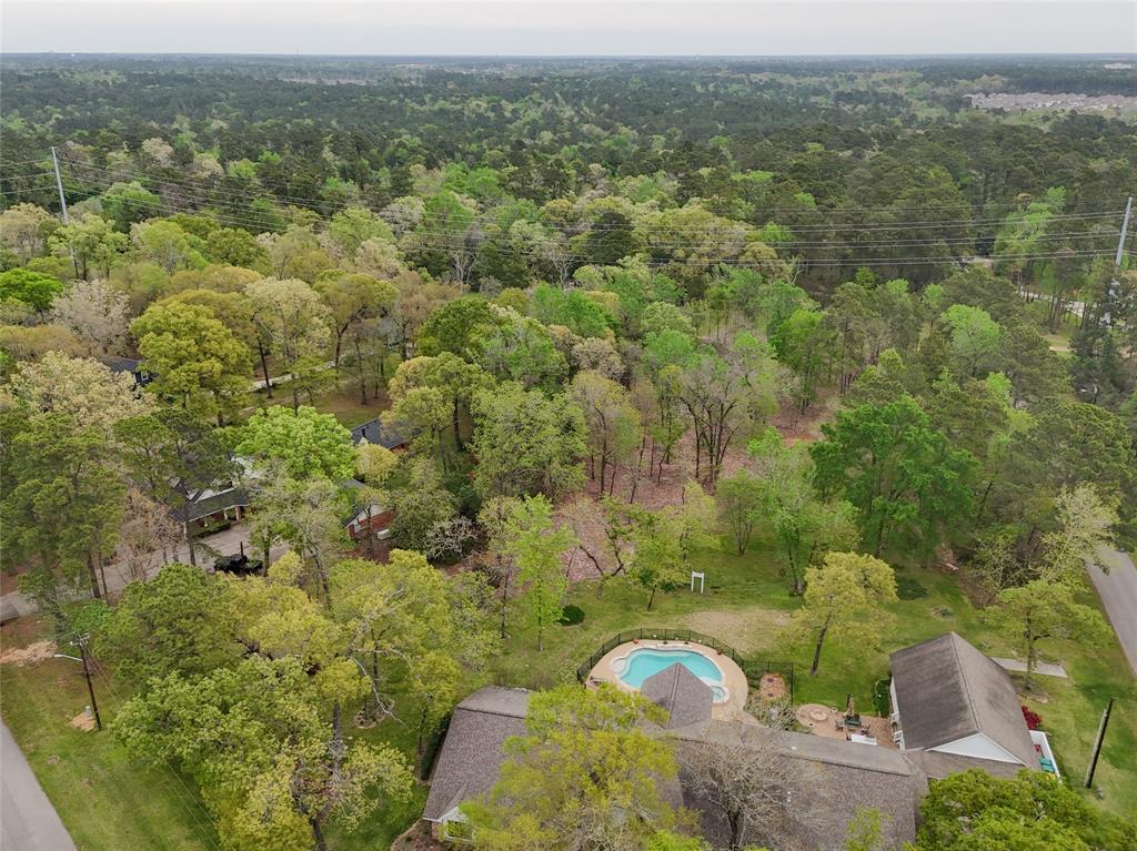 10048 Pine Springs Drive, Conroe, Texas image 14