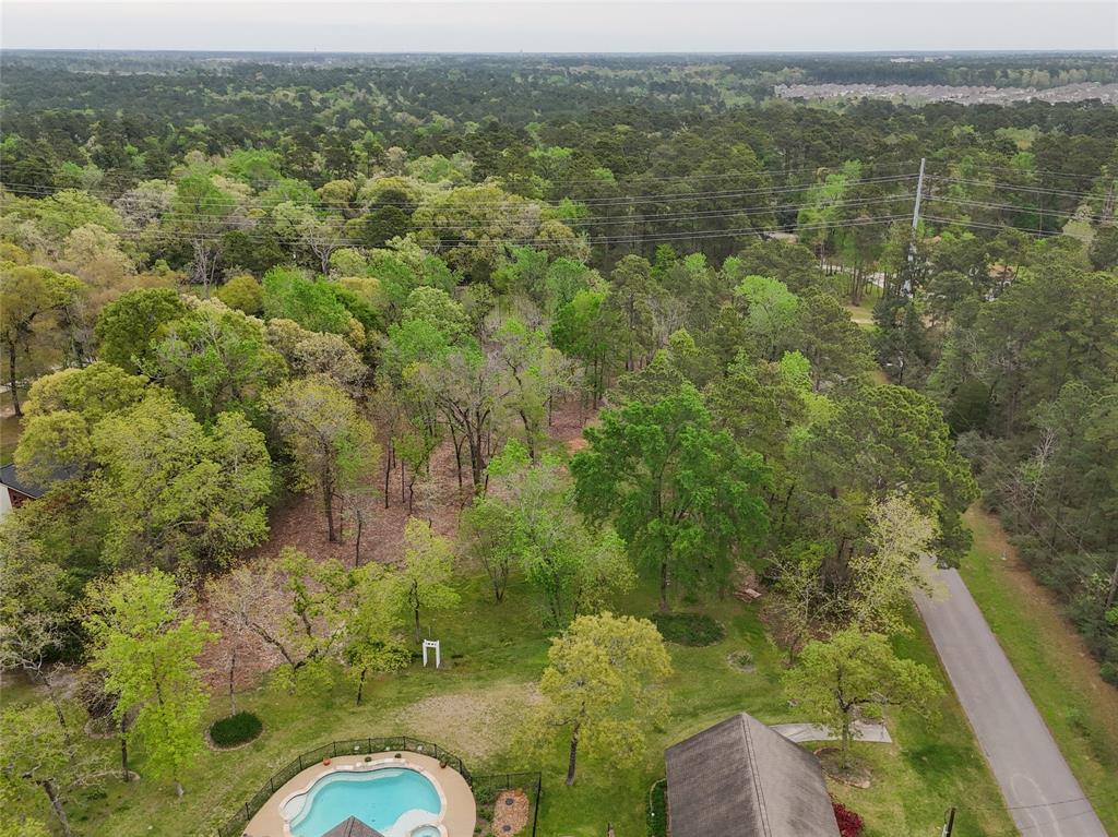 10048 Pine Springs Drive, Conroe, Texas image 15