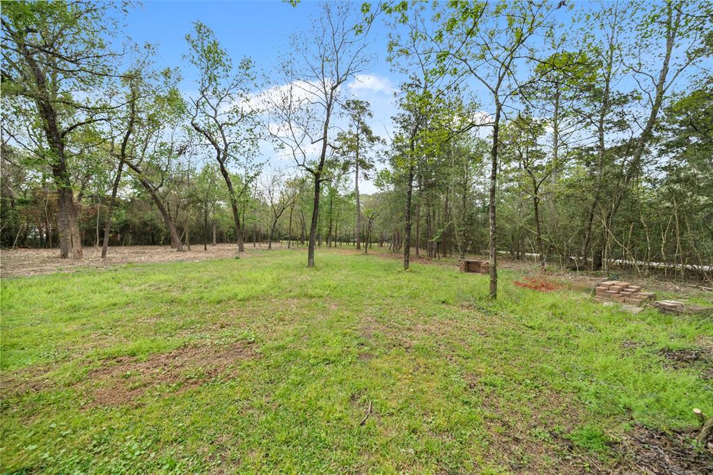 10048 Pine Springs Drive, Conroe, Texas image 2