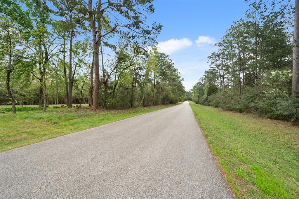 10048 Pine Springs Drive, Conroe, Texas image 5