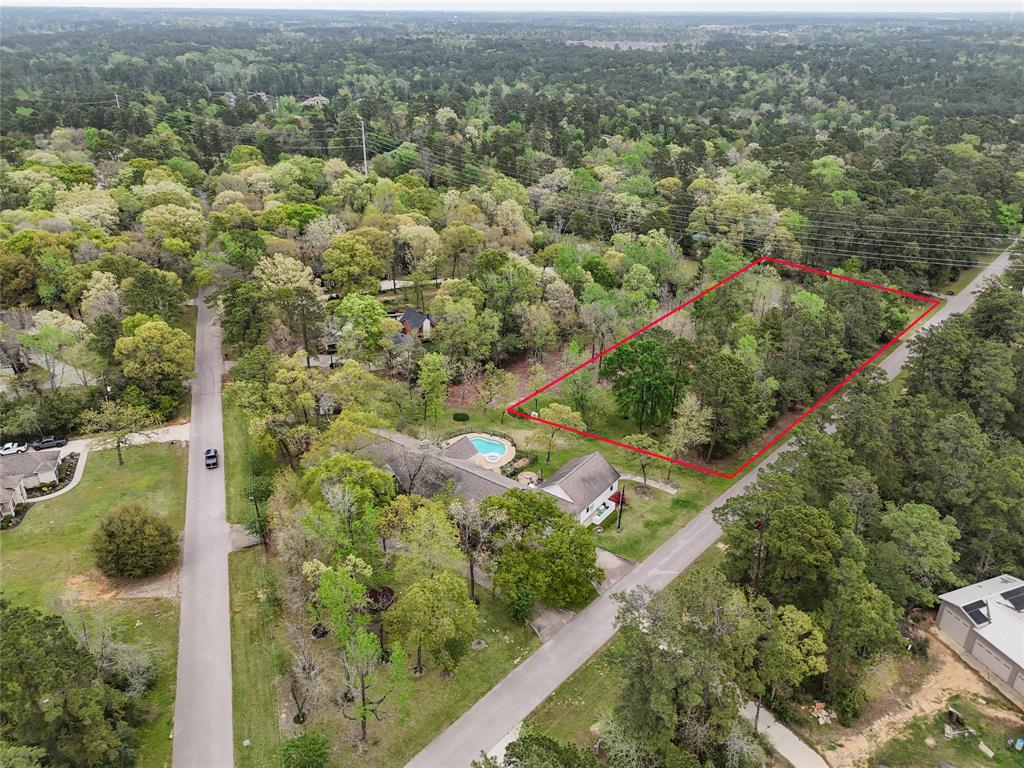 10048 Pine Springs Drive, Conroe, Texas image 6