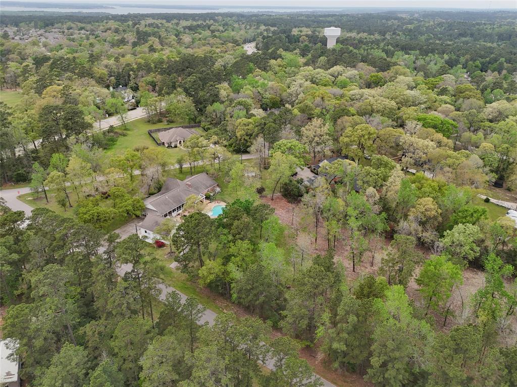 10048 Pine Springs Drive, Conroe, Texas image 13