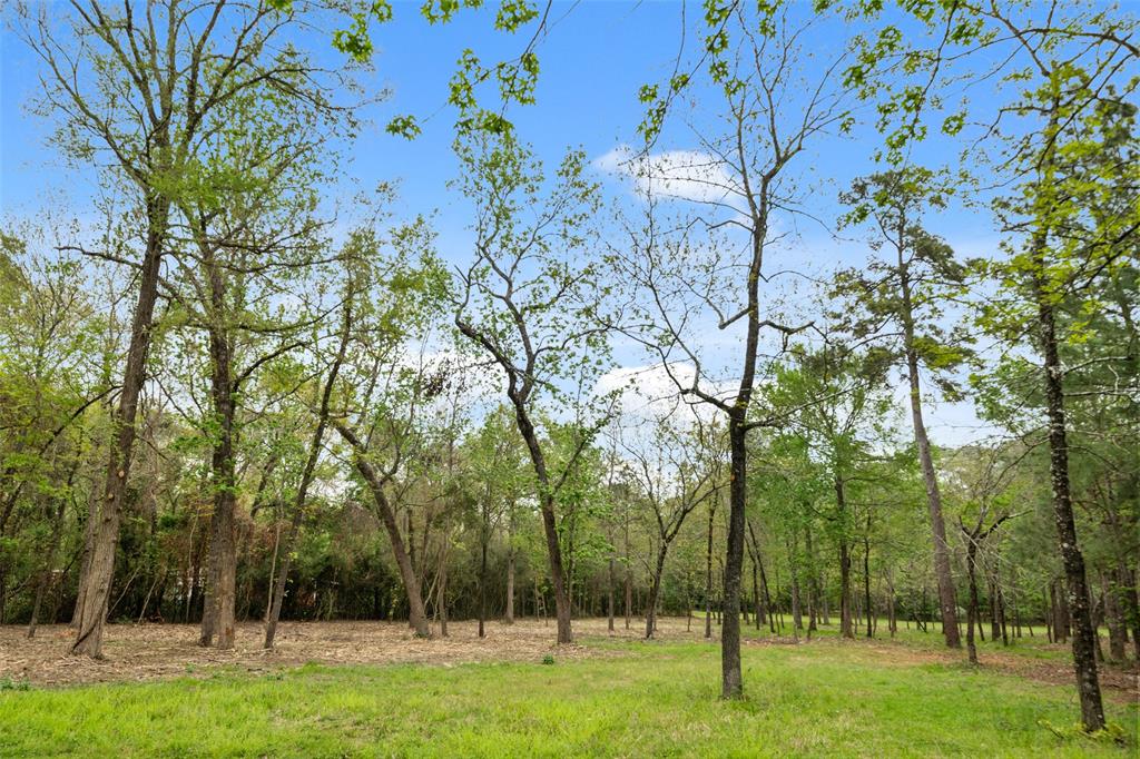 10048 Pine Springs Drive, Conroe, Texas image 1