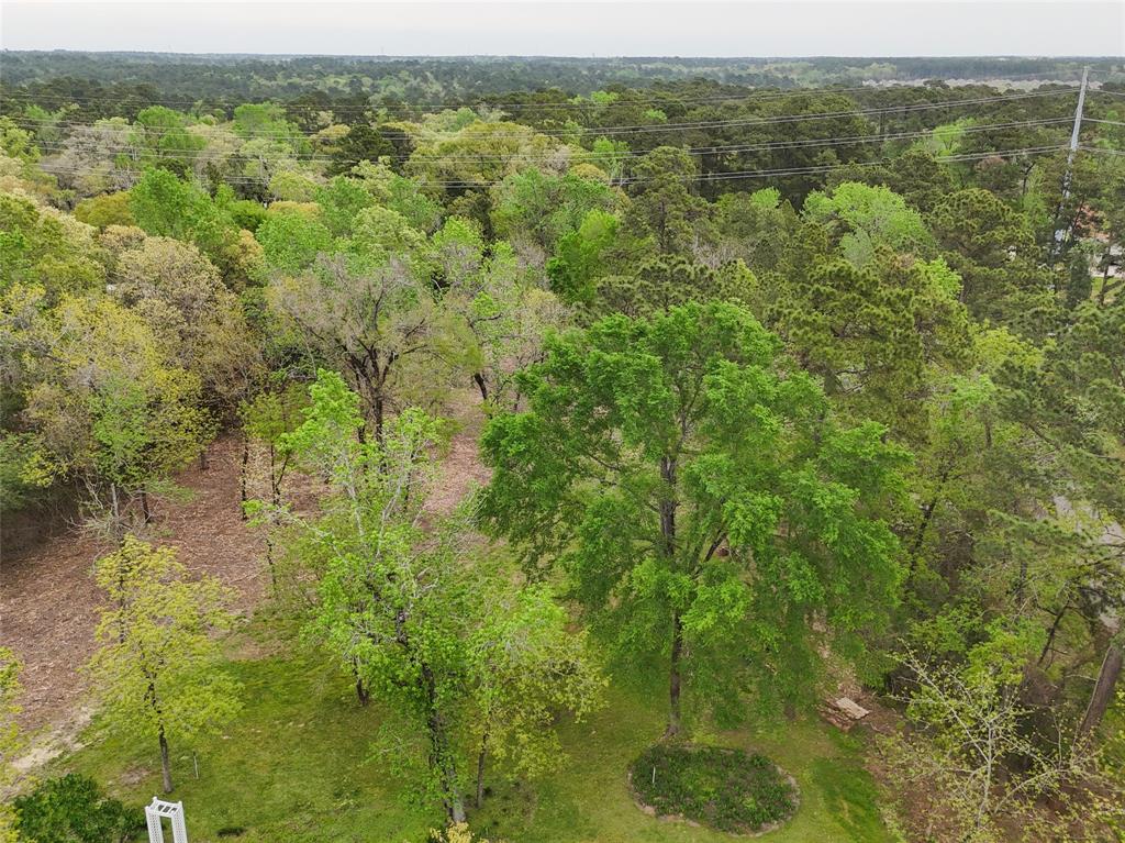 10048 Pine Springs Drive, Conroe, Texas image 16