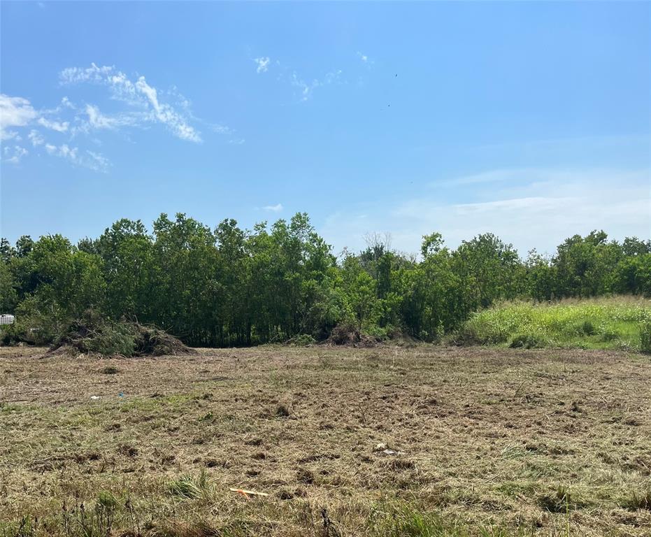 Evergreen Street Street, Fresno, Texas image 6