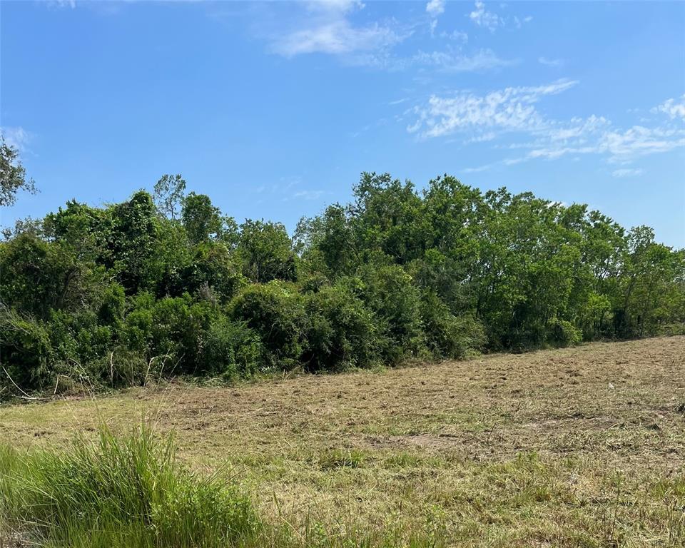 Evergreen Street Street, Fresno, Texas image 7