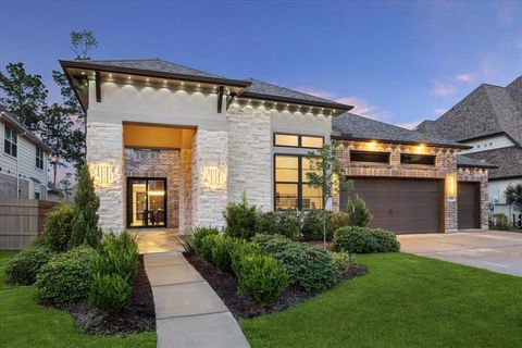 17355 Camillia Trails Conroe TX 77302