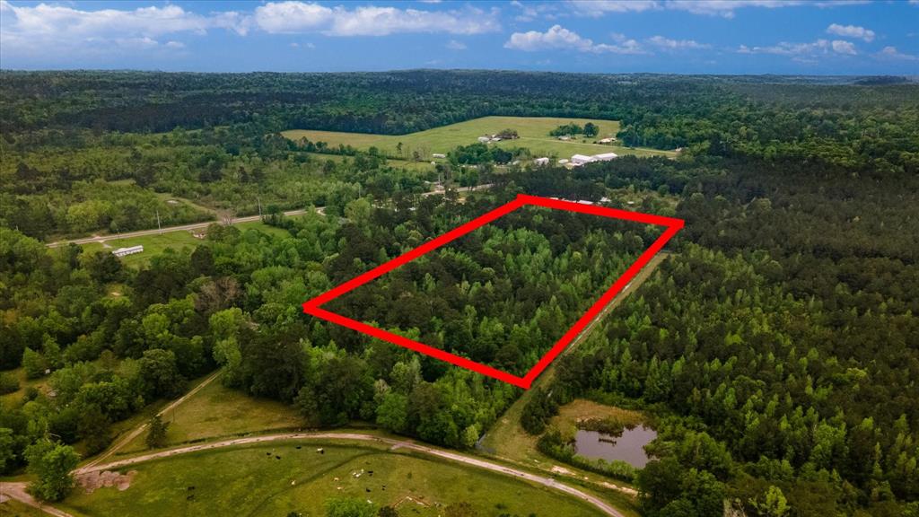 TBD Shaw Road, Batson, Texas image 12