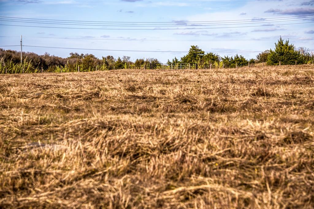 Lot 4 Sandy Hill Road, Brenham, Texas image 10