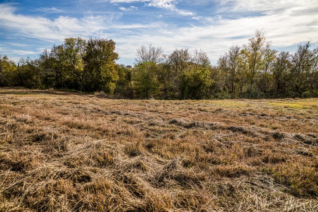 Lot 4 Sandy Hill Road, Brenham, Texas image 5