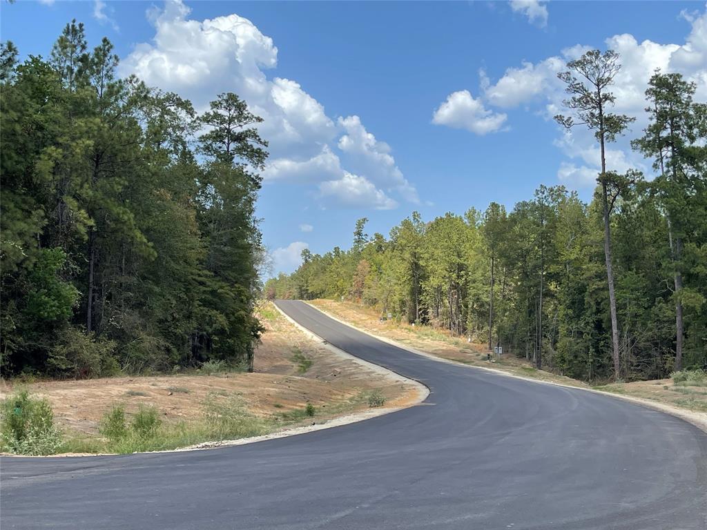 68 Coyote Run, New Waverly, Texas image 10