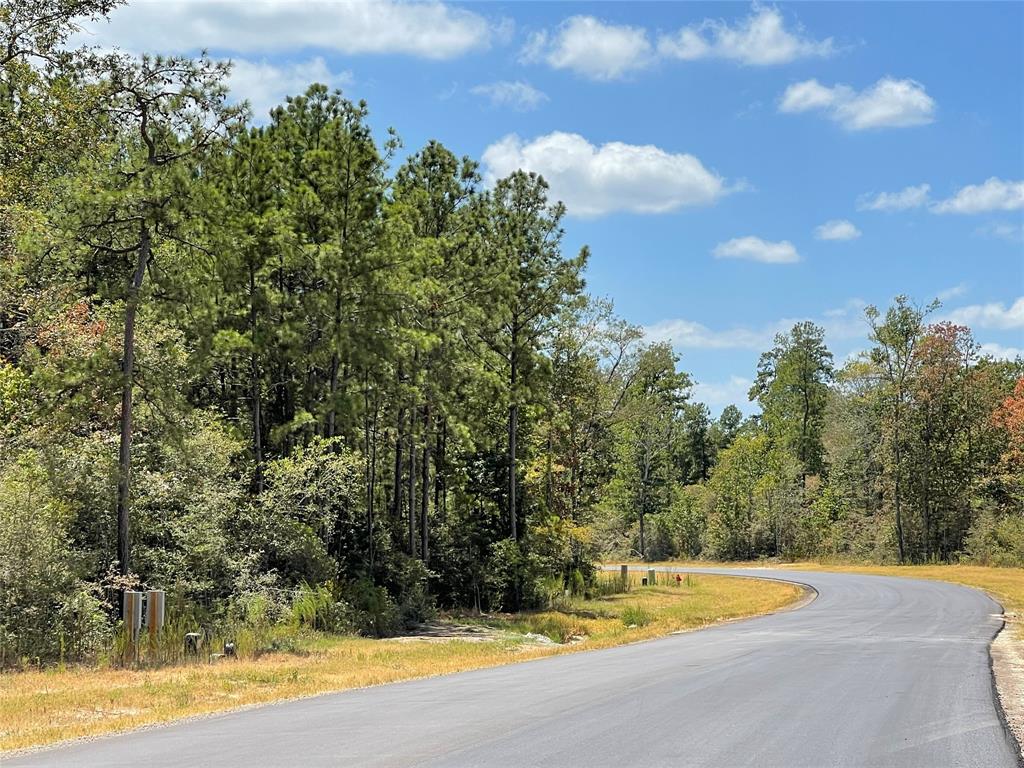 68 Coyote Run, New Waverly, Texas image 9