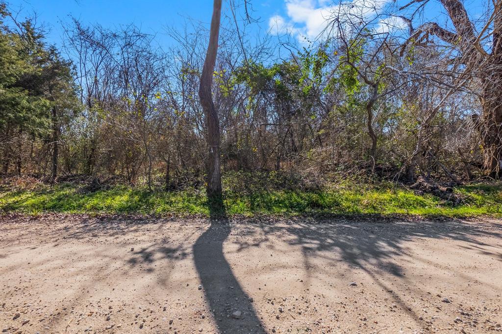 TBD Bundic Road, North Zulch, Texas image 3