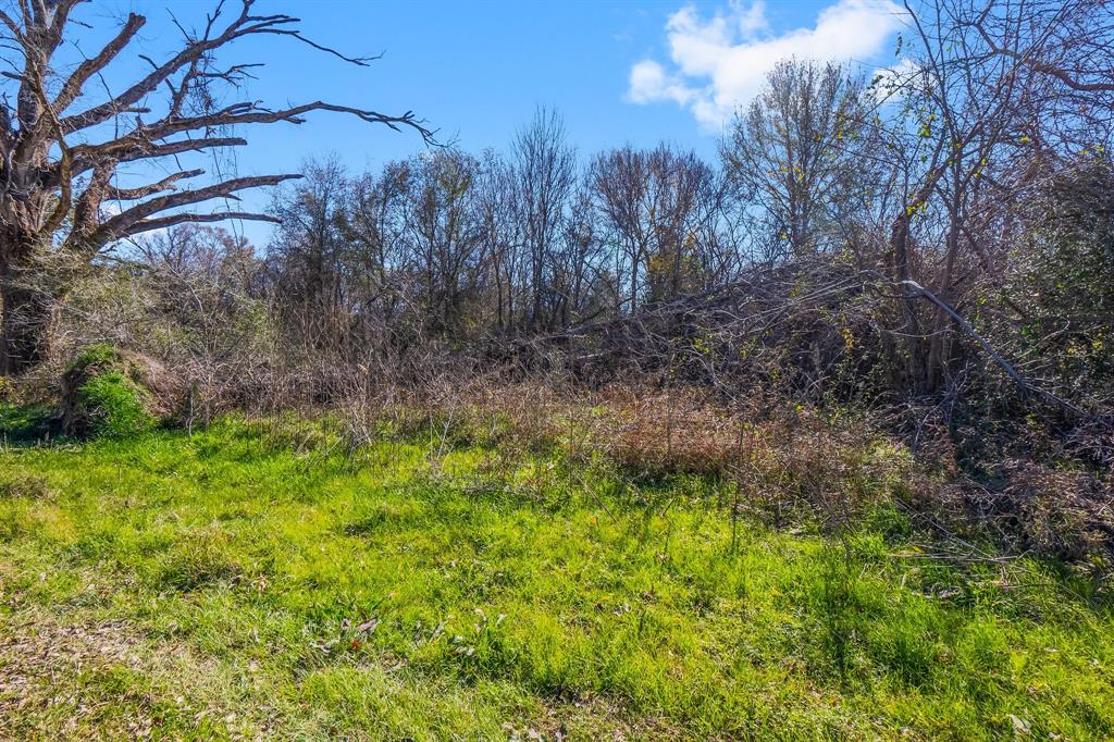 TBD Bundic Road, North Zulch, Texas image 13