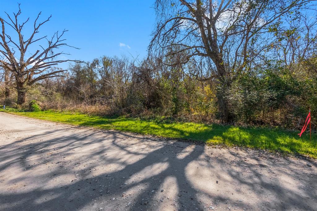 TBD Bundic Road, North Zulch, Texas image 2