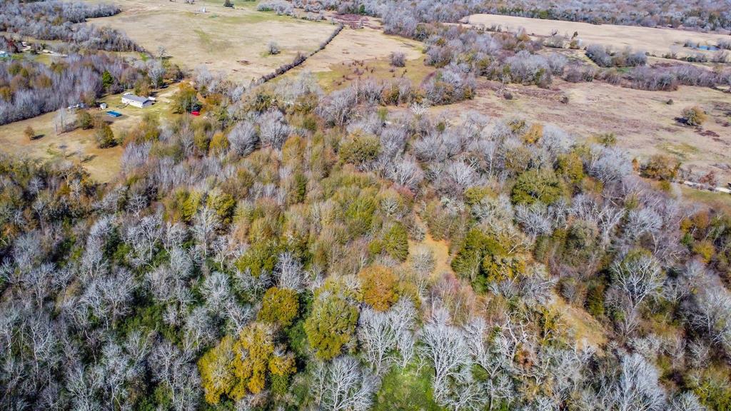 TBD Bundic Road, North Zulch, Texas image 6