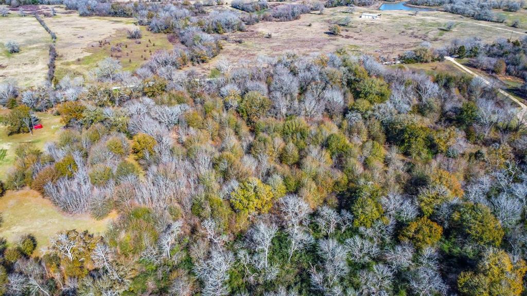 TBD Bundic Road, North Zulch, Texas image 11