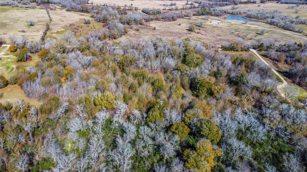 TBD Bundic Road, North Zulch, Texas image 7