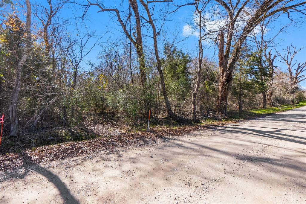 TBD Bundic Road, North Zulch, Texas image 12