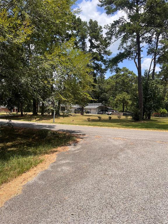 19722 Belle Isle Drive, Houston, Texas image 5