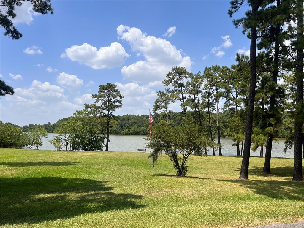 19722 Belle Isle Drive, Houston, Texas image 7