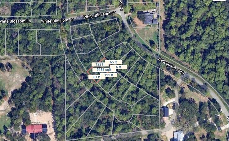 19722 Belle Isle Drive, Houston, Texas image 6