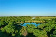 3647 County Road 240, Harwood, Texas image 4