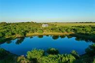 3647 County Road 240, Harwood, Texas image 5