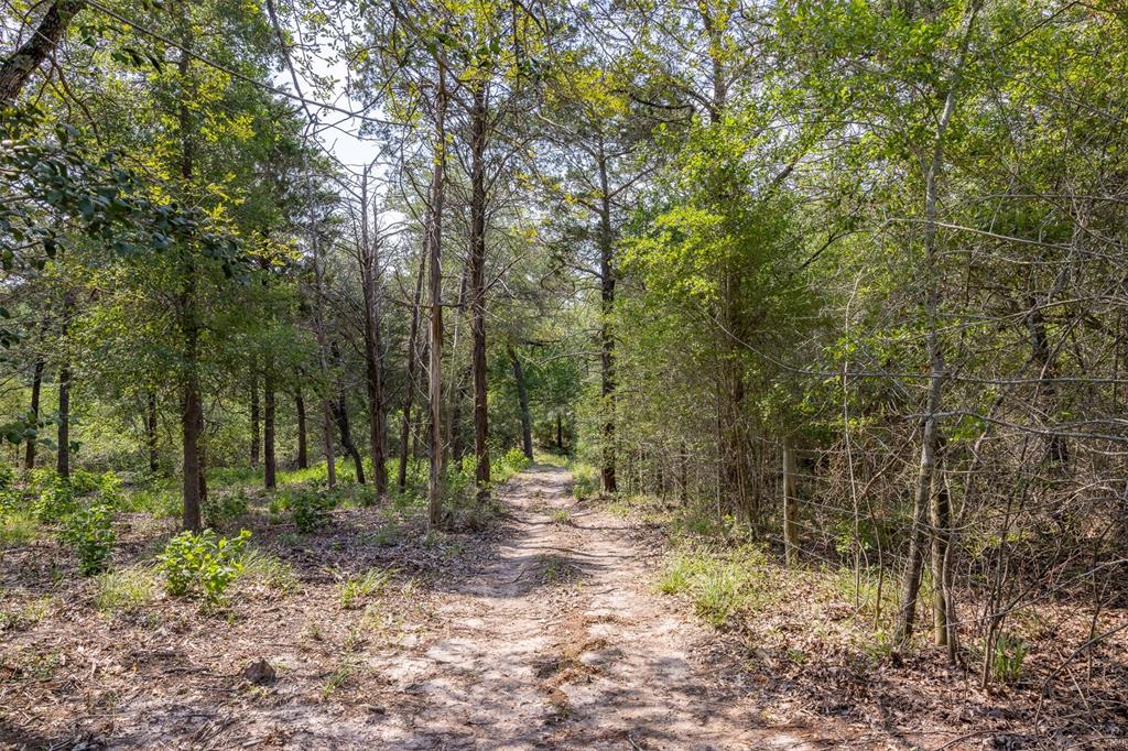 14450 Hartstack Road, Carmine, Texas image 25