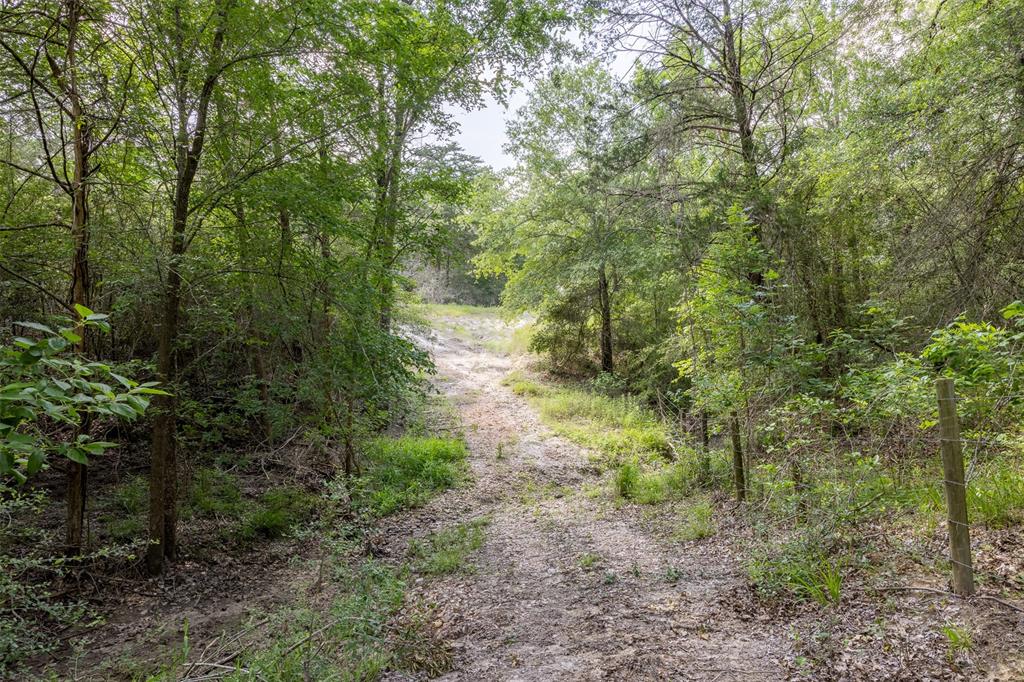 14450 Hartstack Road, Carmine, Texas image 26