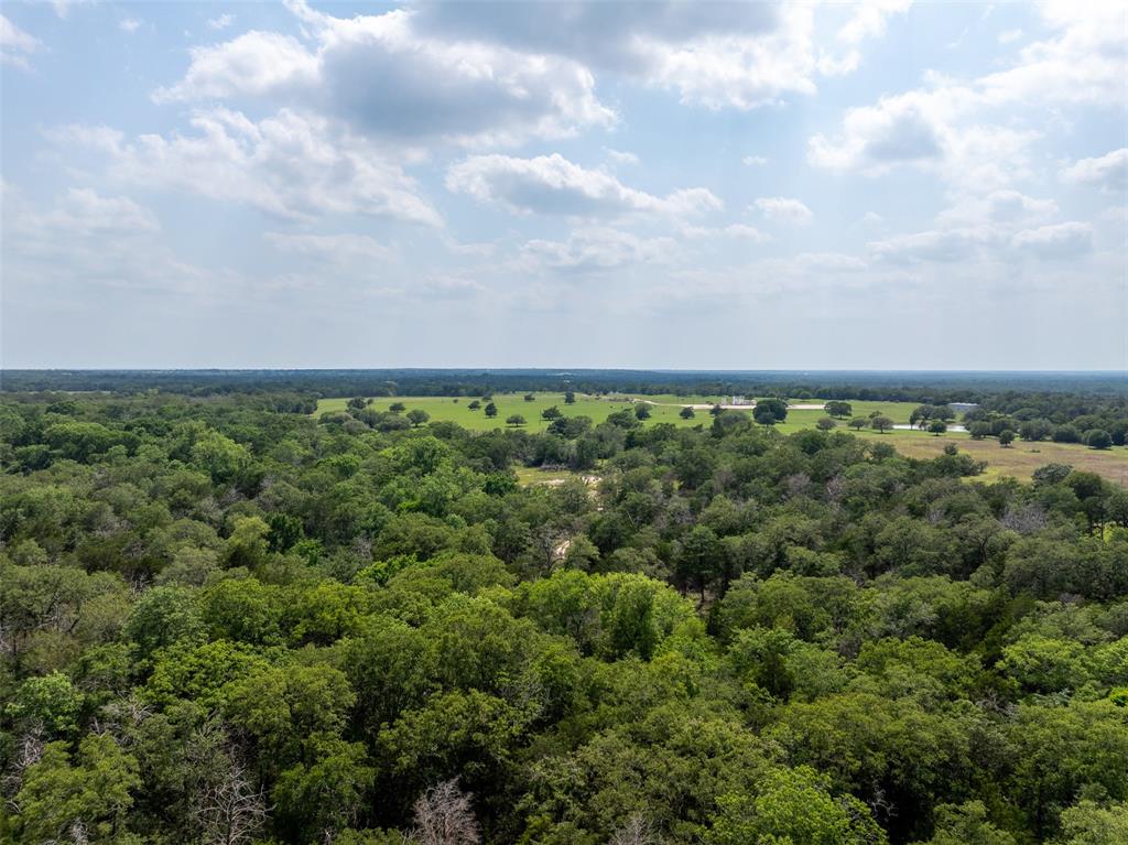 14450 Hartstack Road, Carmine, Texas image 27