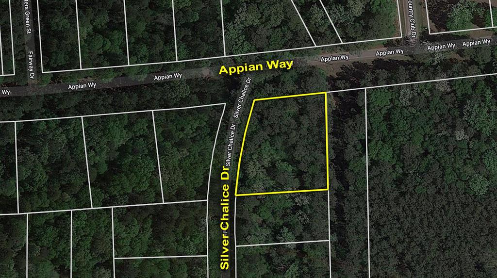 Lot 61 Appian Way, New Caney, Texas image 1