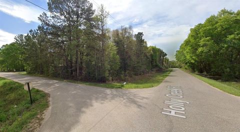 Photo of 301 Holly Creek Rd, Cleveland, TX 77328 (MLS # 85515497)