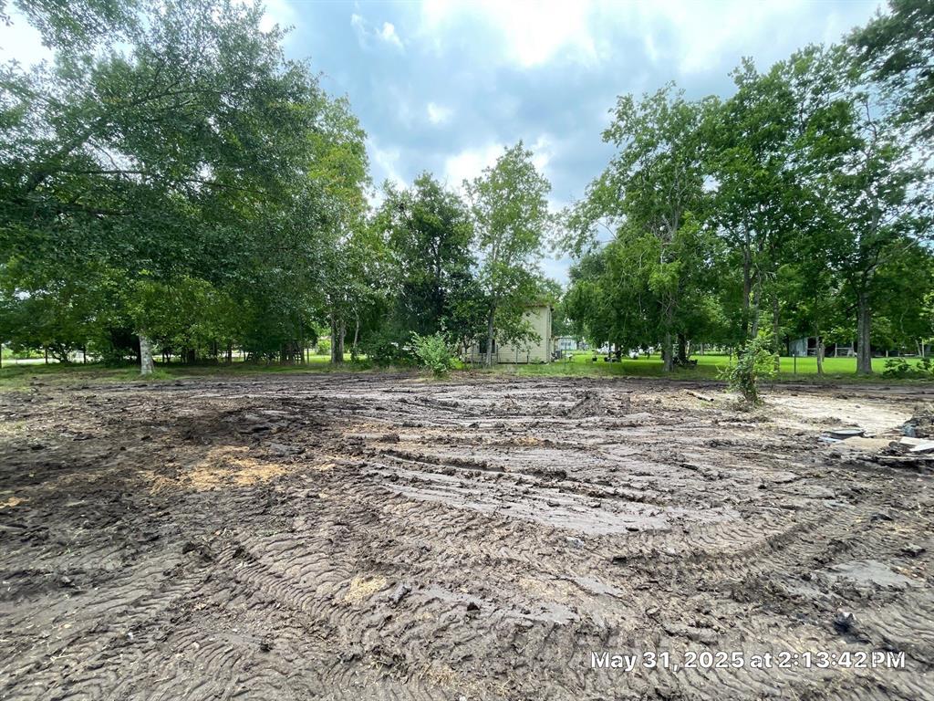 10371 County Road 909, Alvin, Texas image 6