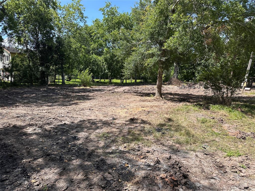 10371 County Road 909, Alvin, Texas image 19