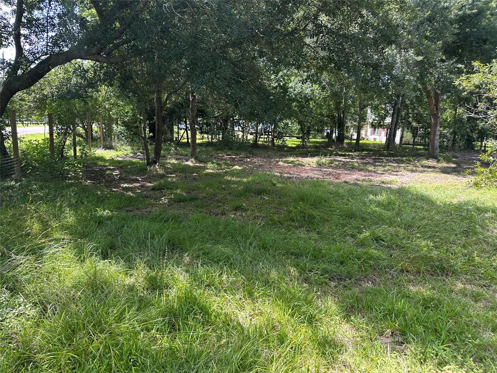 10371 County Road 909, Alvin, Texas image 15